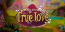 895102 Amandas Magic Book 4 True Lov